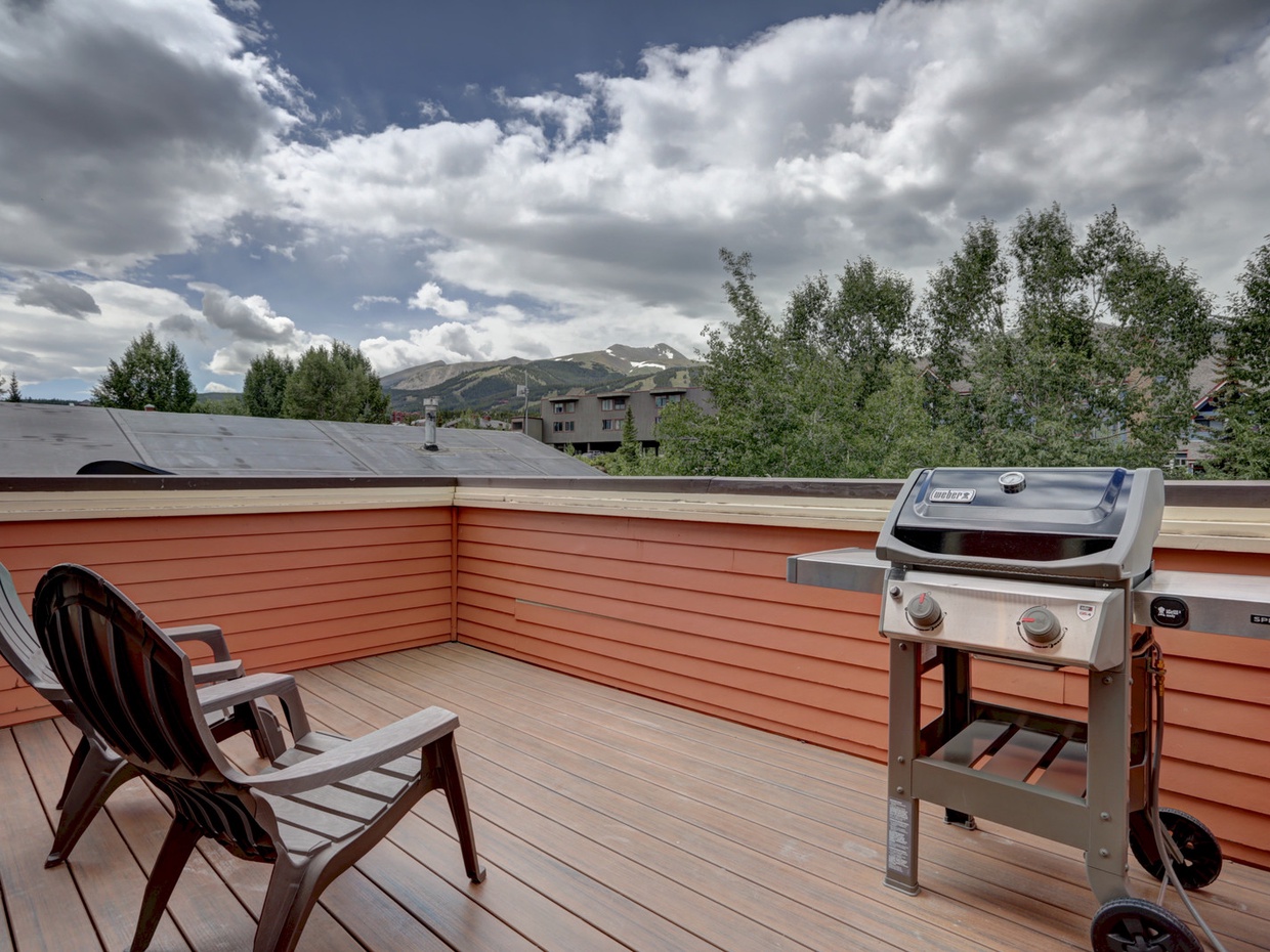 South-facing view from patio