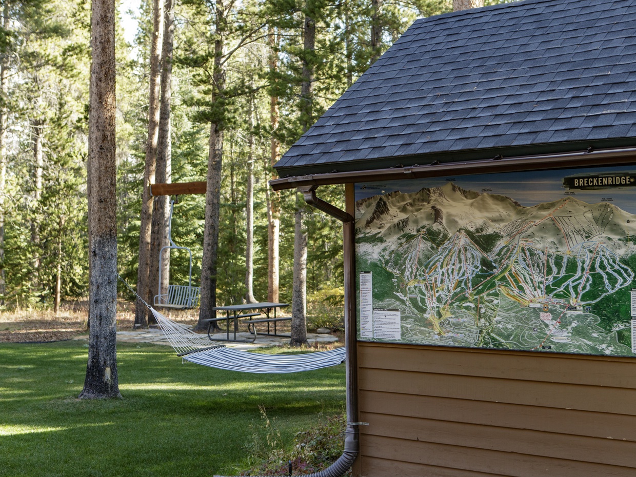 Relax in the back yard under the pine canopy