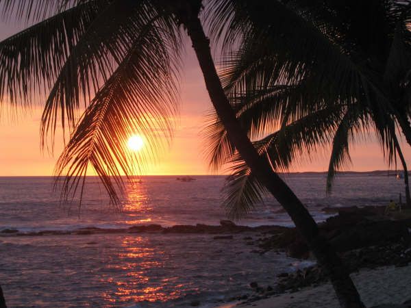 Watch the sun dip below the horizon as vibrant hues fill the sky—an iconic Kona moment framed by swaying palms and the soothing sounds of the surf.