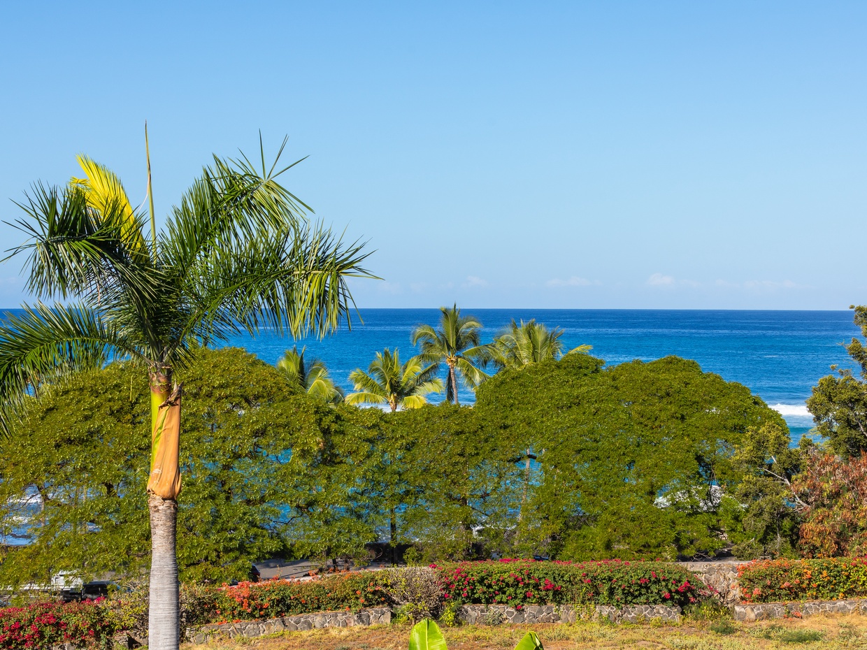 Wake up to the sights and sounds of the Pacific with sweeping ocean views framed by swaying palms and lush greenery—your perfect backdrop for a serene island getaway