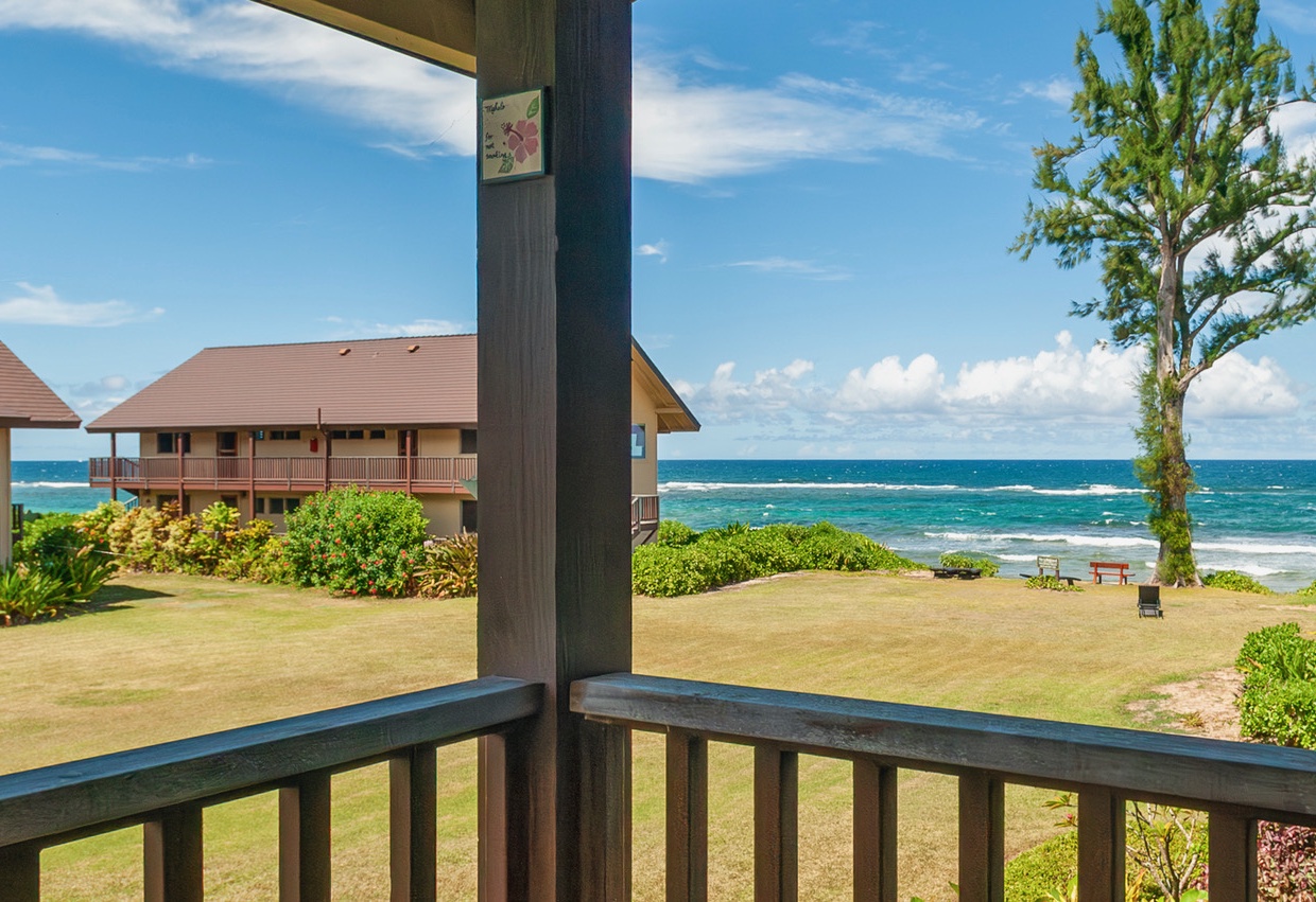 View from lanai.