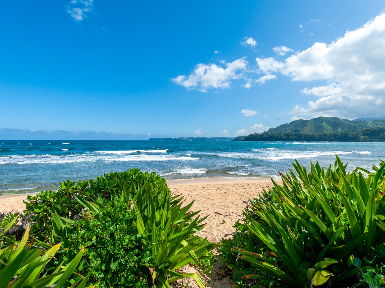 Hanalei vacation rentals at Hanalei Colony Resort