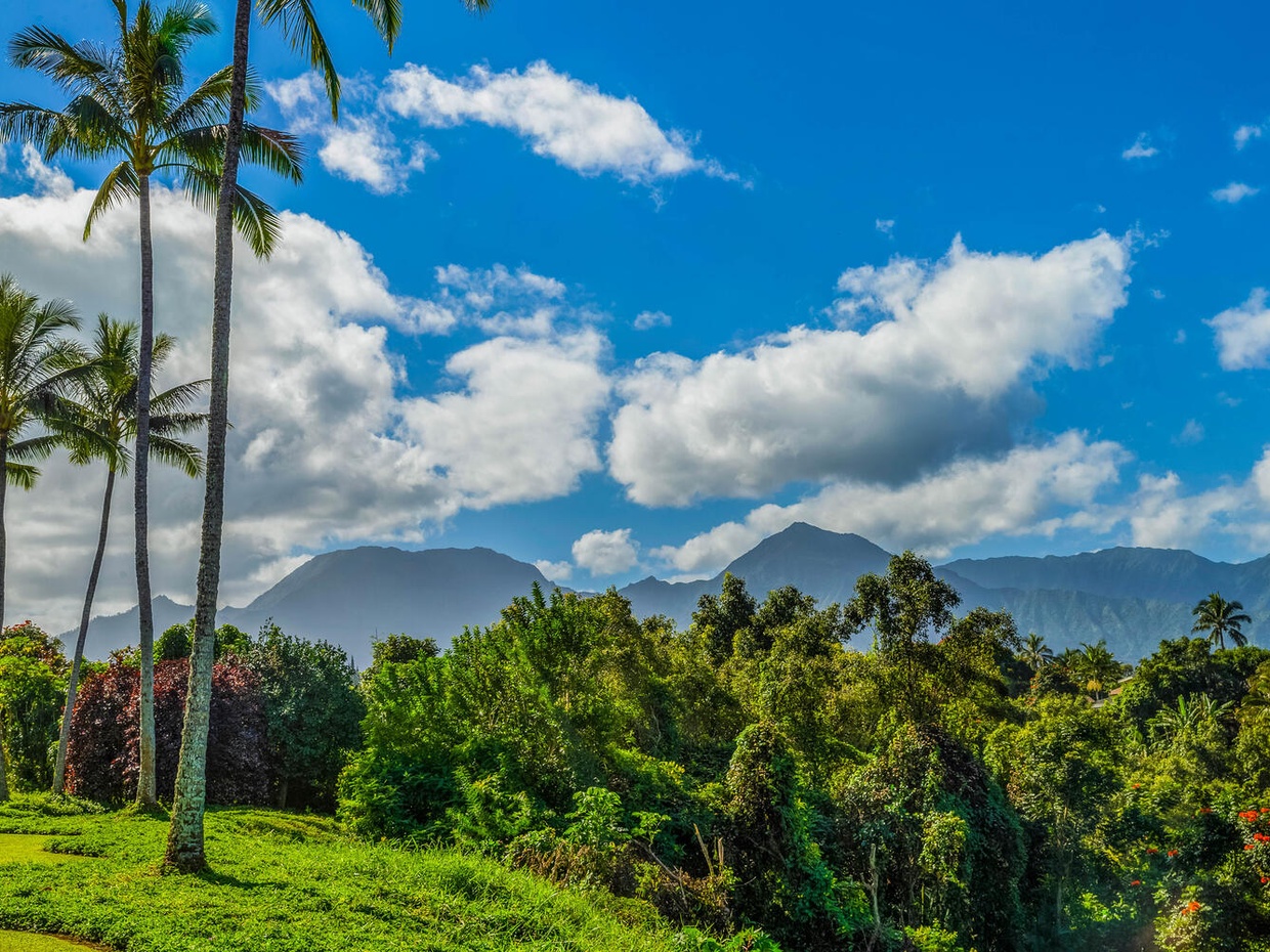 If the ocean views weren't enough, you'll also get to take in the mountains towering over the island! The mountain views are especially gorgeous after a rainstorm 