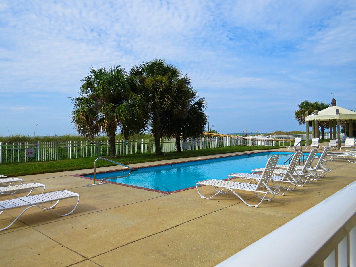 View from Patio