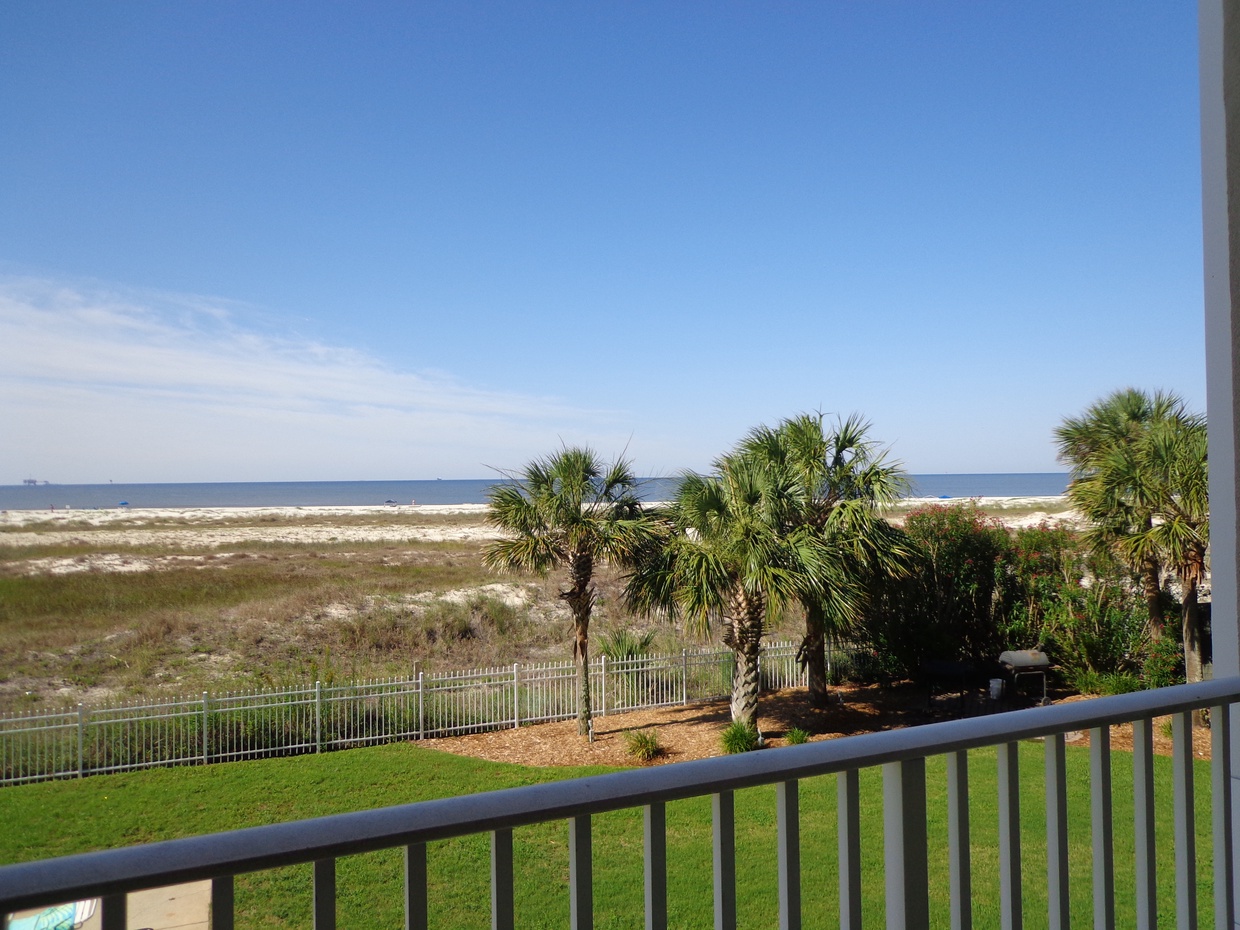 view of palms from balcony