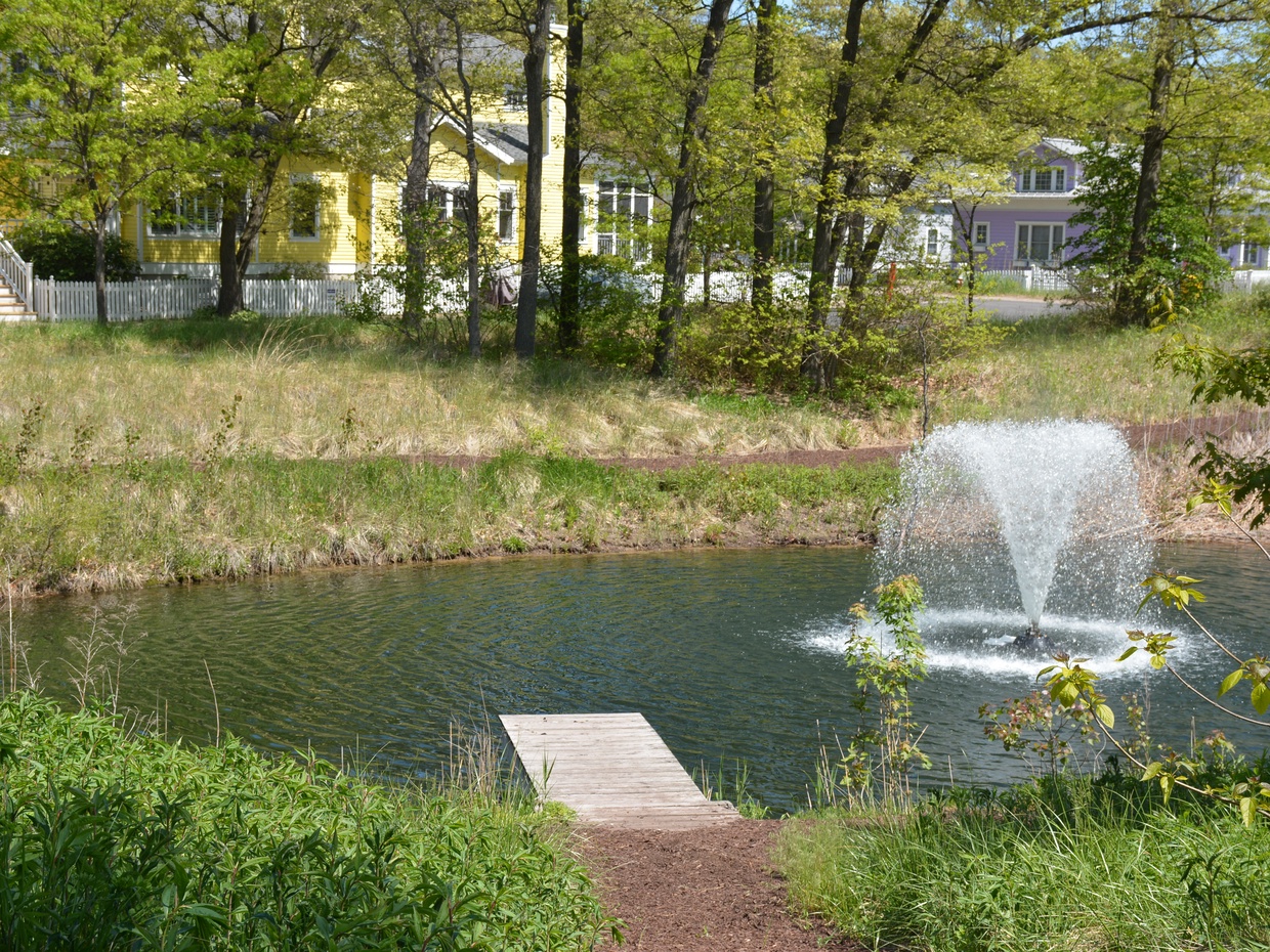 Waterfall Park
