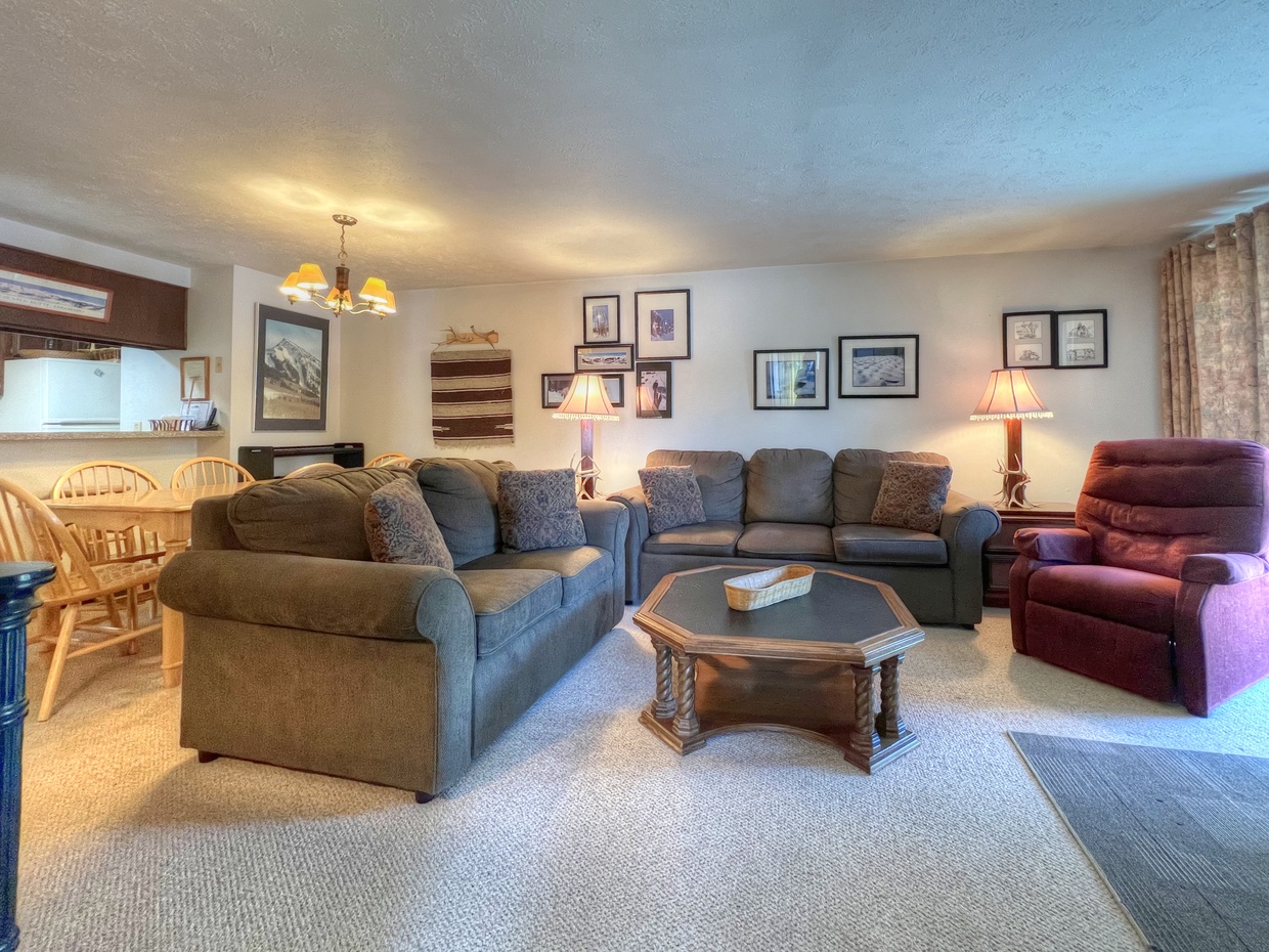 Chateaux #302, Crested Butte Vacation Rental