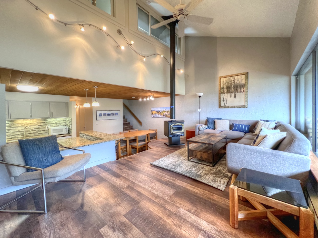 Snowcrest #12, Crested Butte Vacation Rental