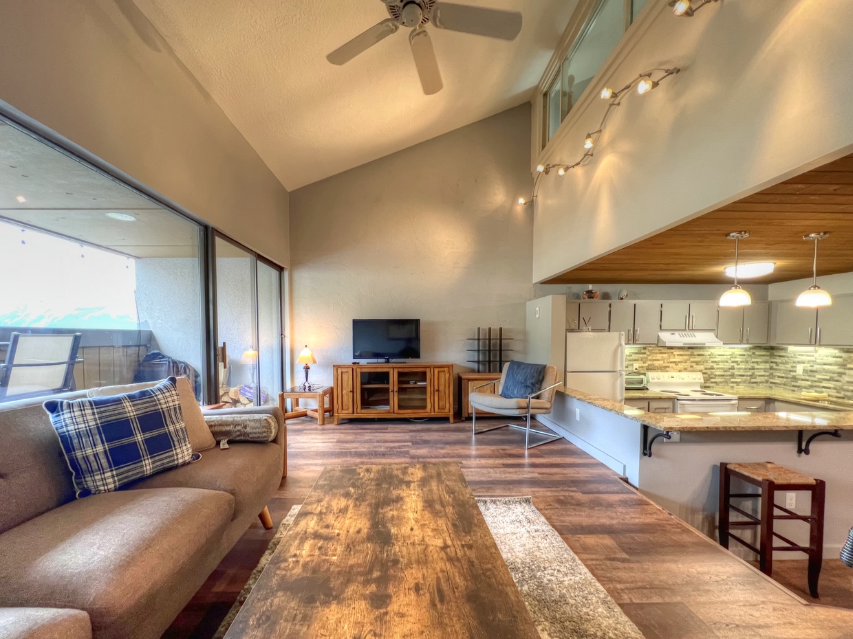 Snowcrest #12, Crested Butte Vacation Rental