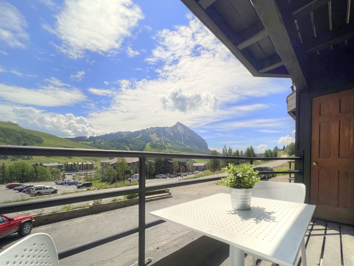 Mountain Sunrise #101, Crested Butte Vacation Rental
