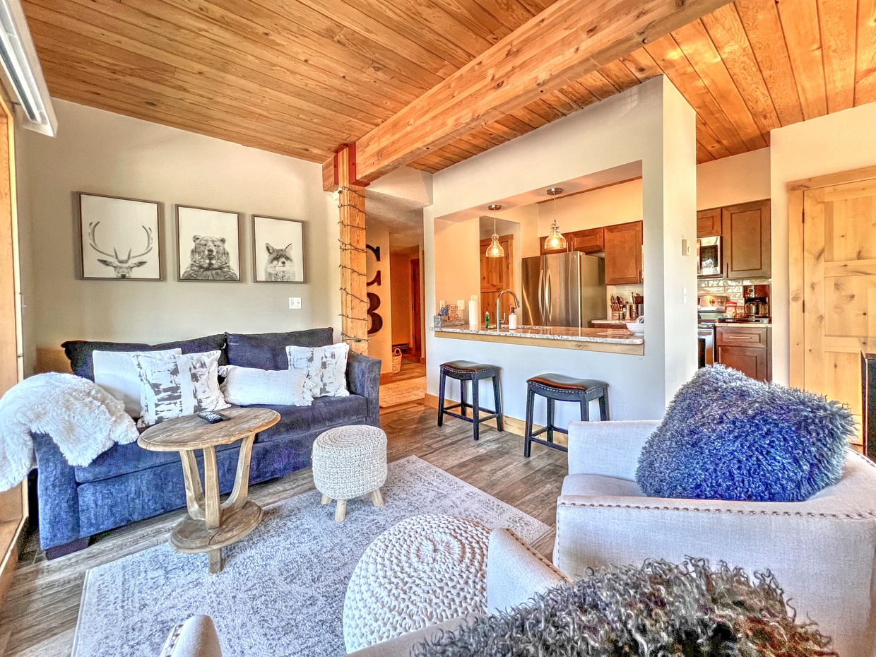 Crested Butte Vacation Rental, Wood Creek Lodge #304