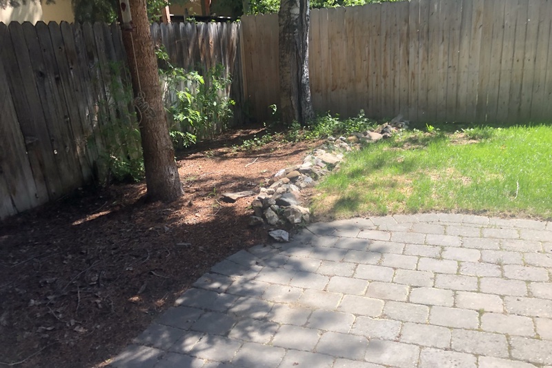 Back yard