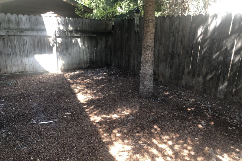 Back yard