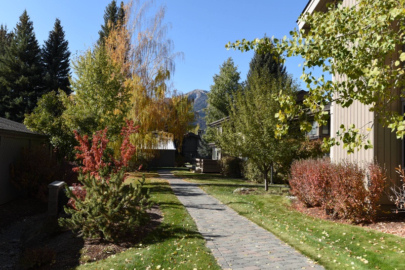 Exterior Fall