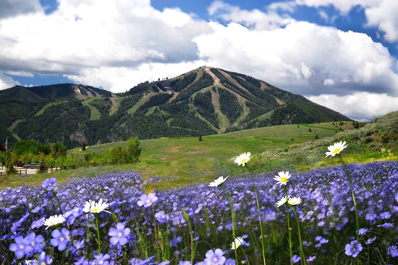 Bald Mountain Summer