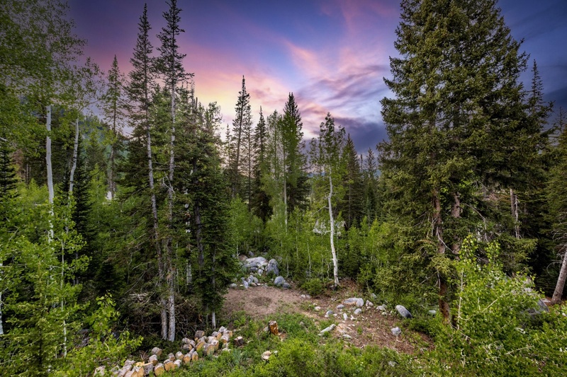 Surrounded by mature trees