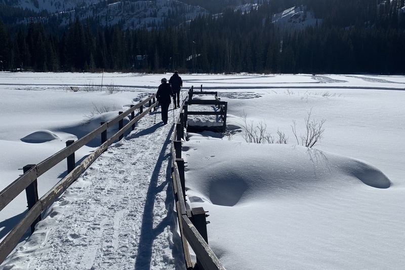 Silver Lake Boardwalk in Winter