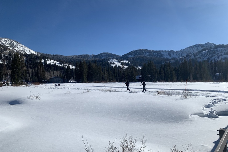 Silver Lake Boardwalk in Winter