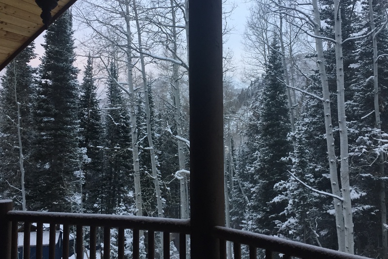 View from the Deck in Winter