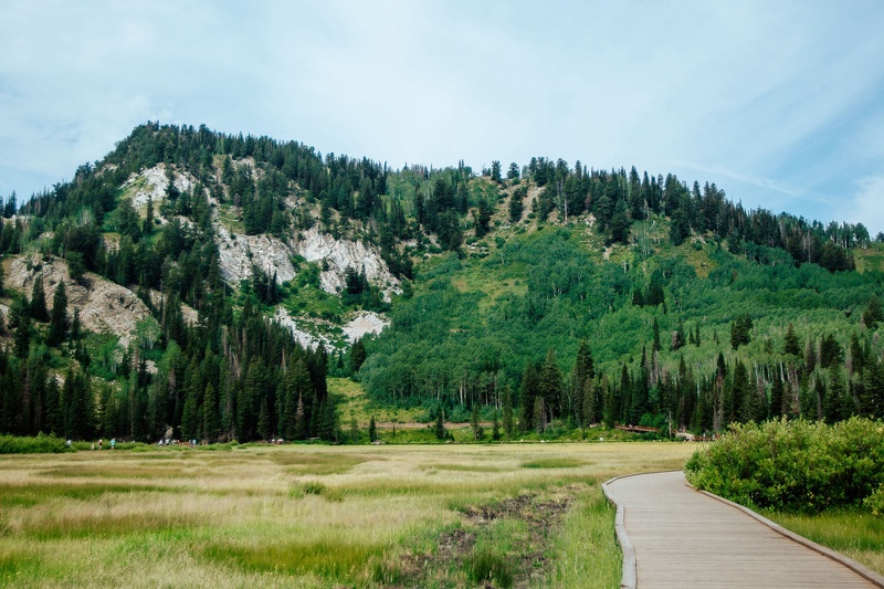 Silver Lake Boardwalk