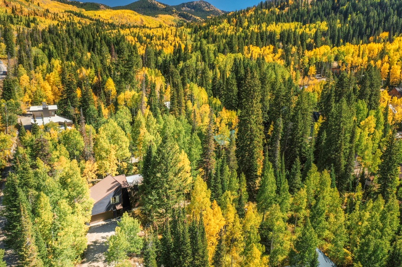 Beginning of Autumn. Gorgeous fall colors! 