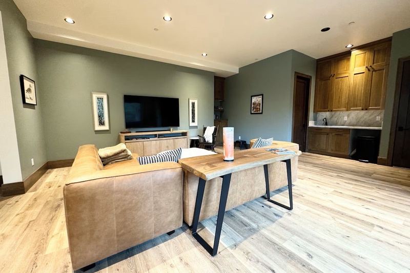 Entertainment area