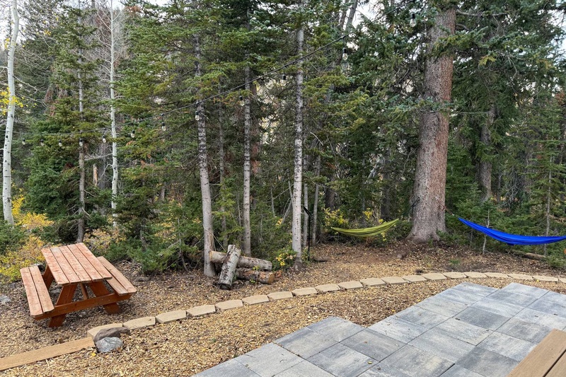 Picnic Area in Backyard