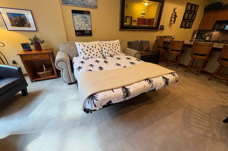 Sofa pulls out into a bed