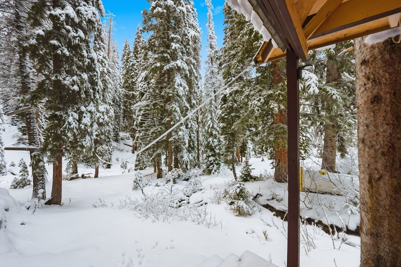 View from the Porch in Winter