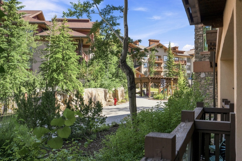 View from Patio