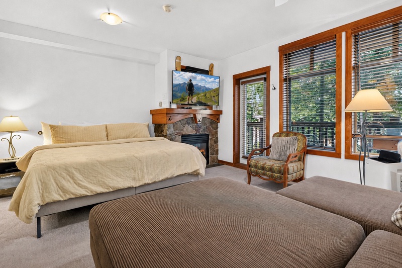 Living Room/Sleeping Area