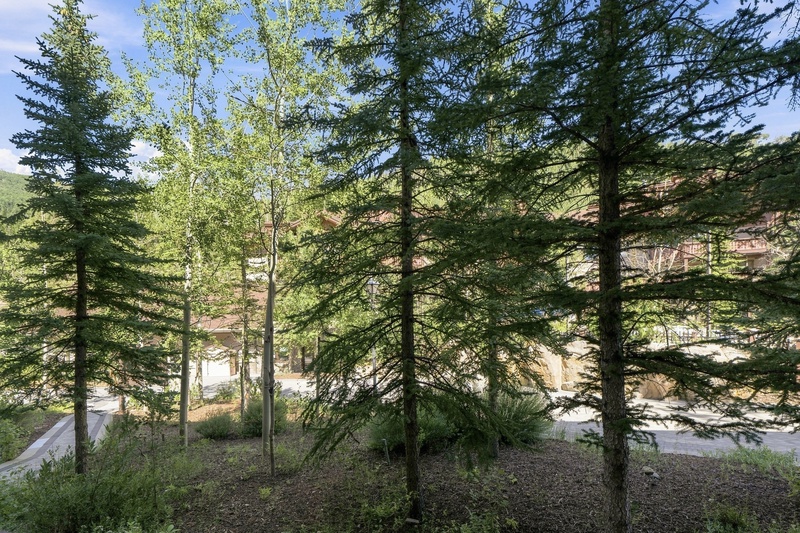 View from Patio