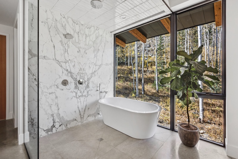 Soaking Tub and Shower with Private View
