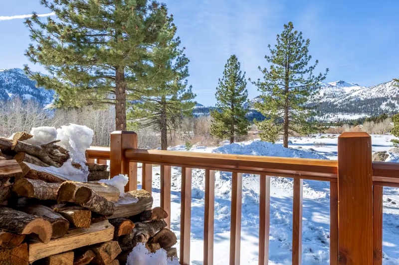 Mammoth Creek #36