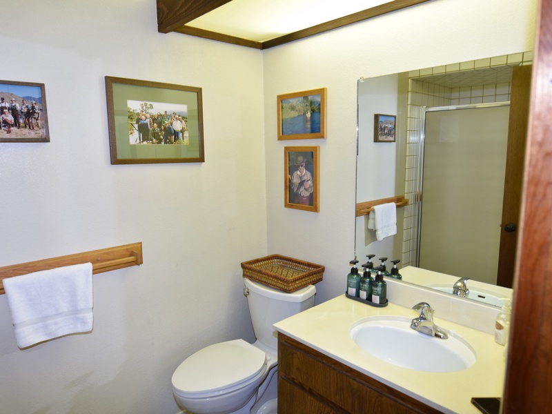 Master bathroom with full standing shower