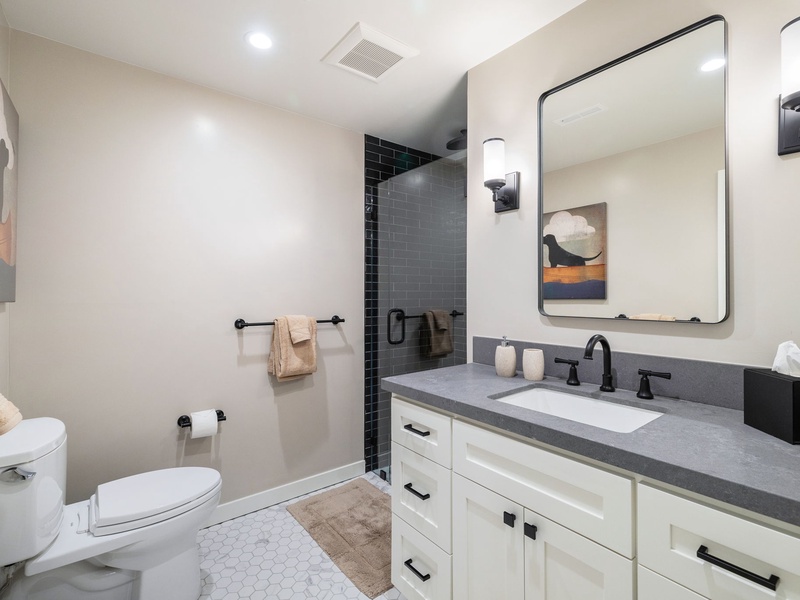 Shared downstairs bath with stand up shower