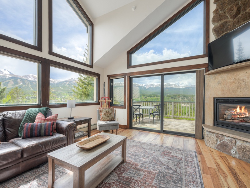 Level 4 (top): Living Room with comfortable couches, terrace, gas fireplace, and TV