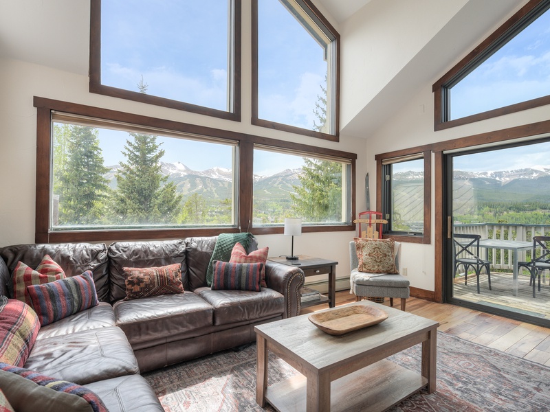 Level 4 (top): Living Room with comfortable couches, gas fireplace, and TV