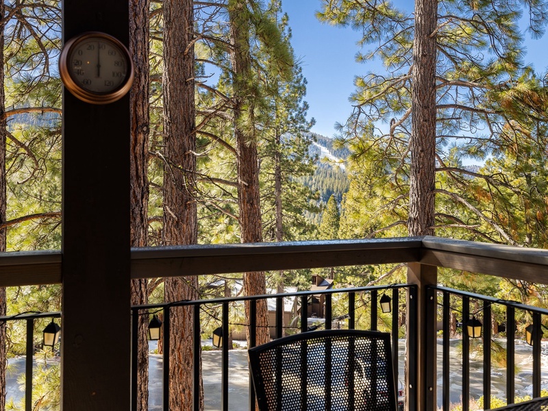 View from patio