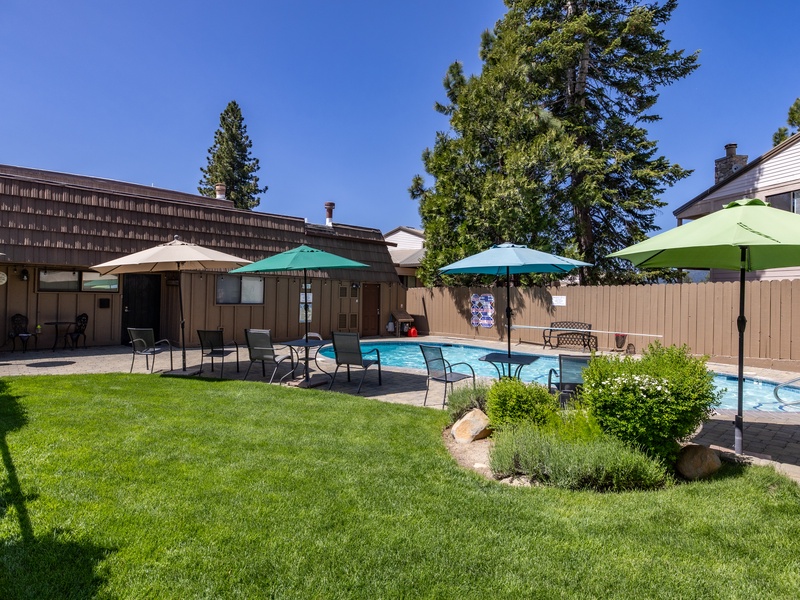 Grassy area next to swimming pool
