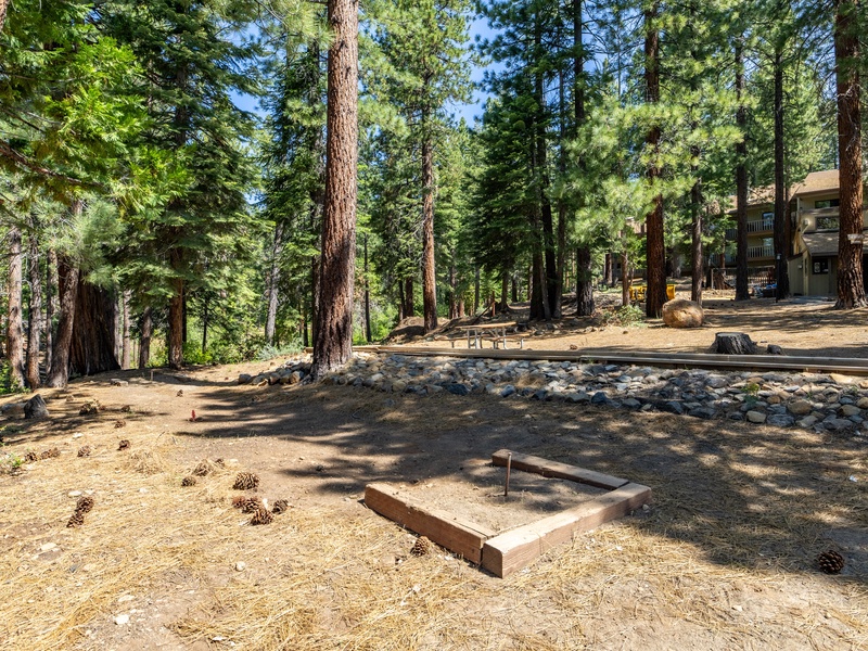HOA horseshoes