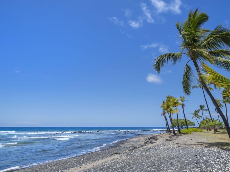 Kona Coastline