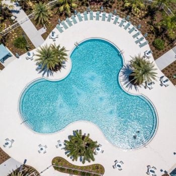 Take a dip in Solara's stunning resort-style pool—perfect for relaxing under the Florida sun.