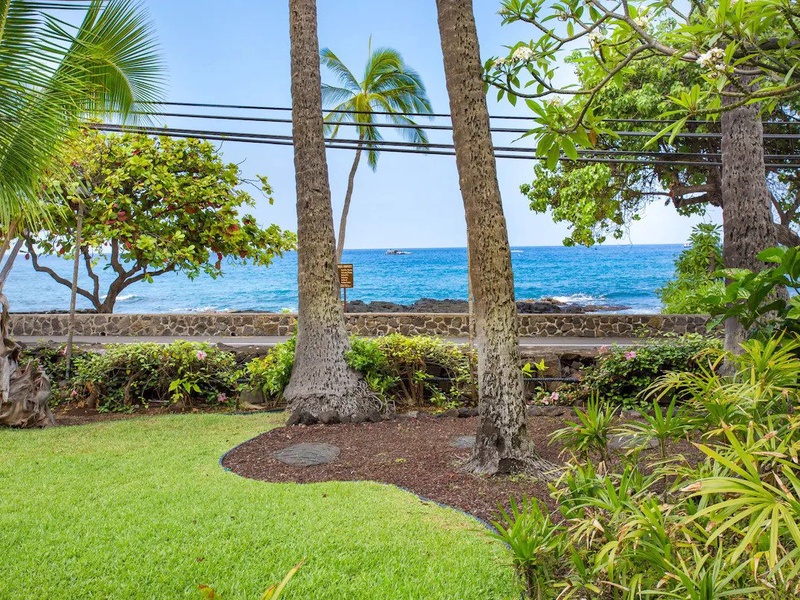 Garden Across From The Ocean