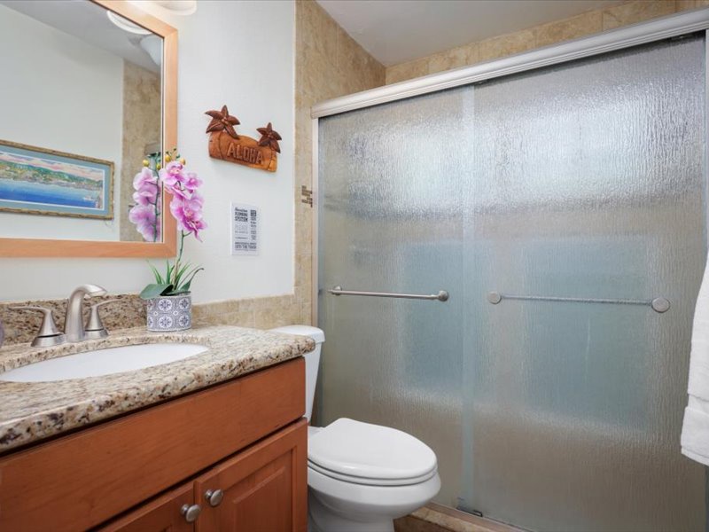 Modern bathroom with granite vanity, walk-in shower, and tropical touches for a fresh, island-inspired feel.