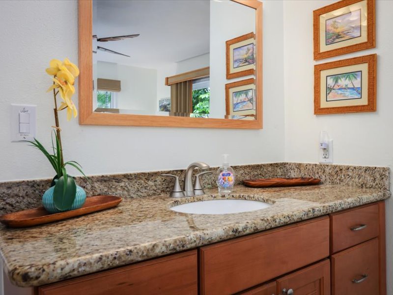 Elegant en suite vanity with granite countertop, warm wood cabinetry, and tropical accents for a polished island touch.