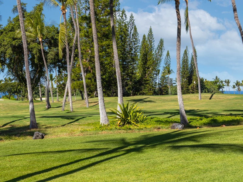 Golf Course