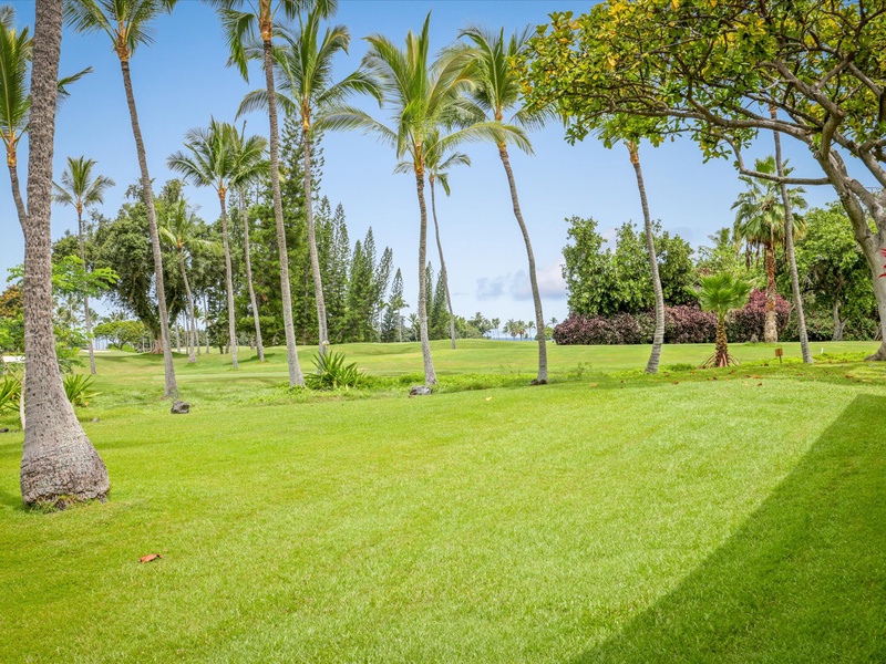 View Of The Golf Course From The Lanai