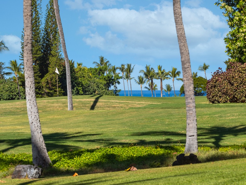 Golf Course and Ocean View