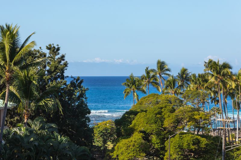 View From The Lanai